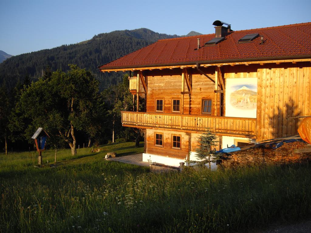 Schrandl Apartment Penningberg Hopfgarten im Brixental Luaran gambar