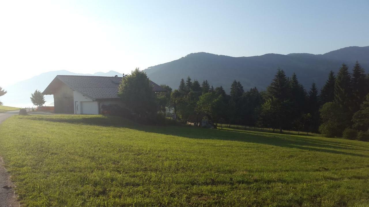 Schrandl Apartment Penningberg Hopfgarten im Brixental Luaran gambar
