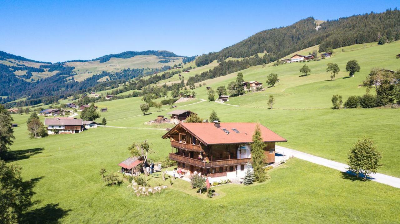 Schrandl Apartment Penningberg Hopfgarten im Brixental Luaran gambar